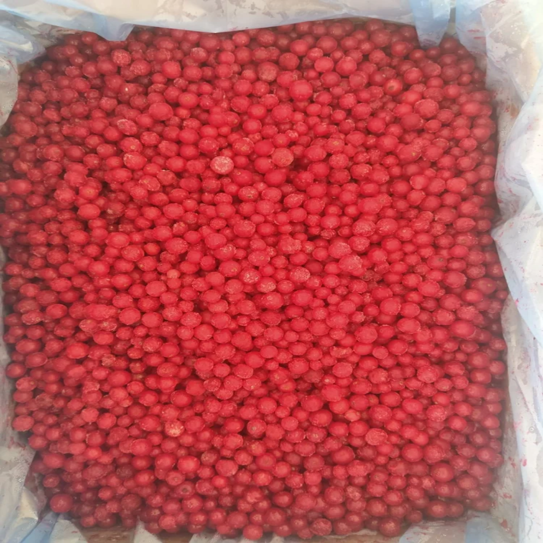 Wholesale Frozen Imported IQF Redcurrant Berry – UAE